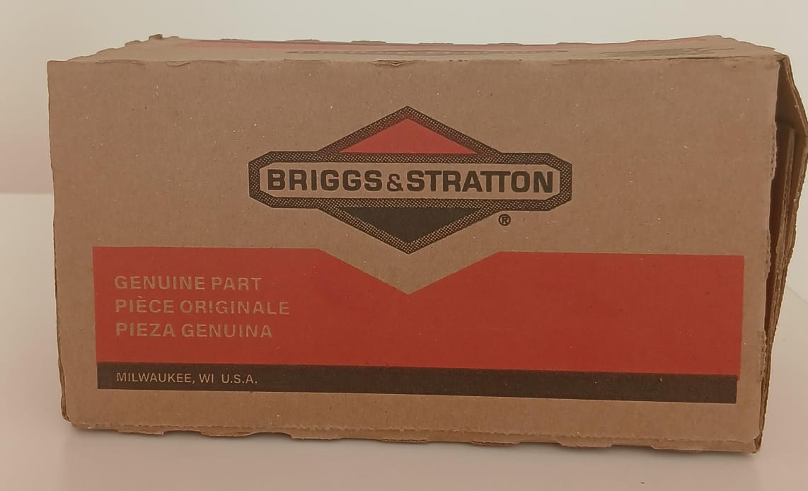 Briggs & Stratton Starter Motor — P/N 844717